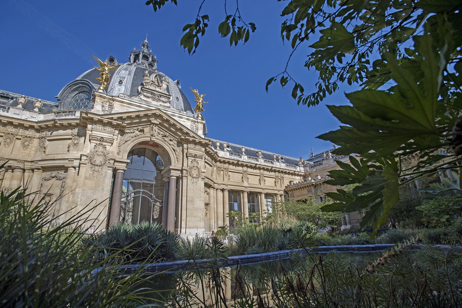 cafe jardin du petit palais